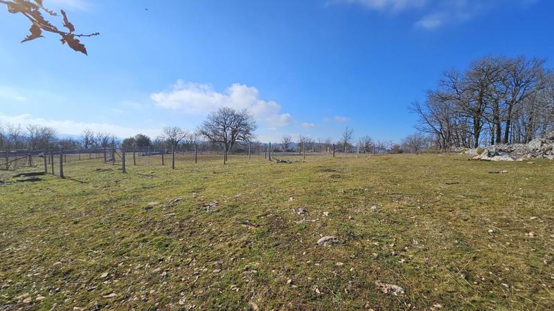 Terrain - 80 524 m²