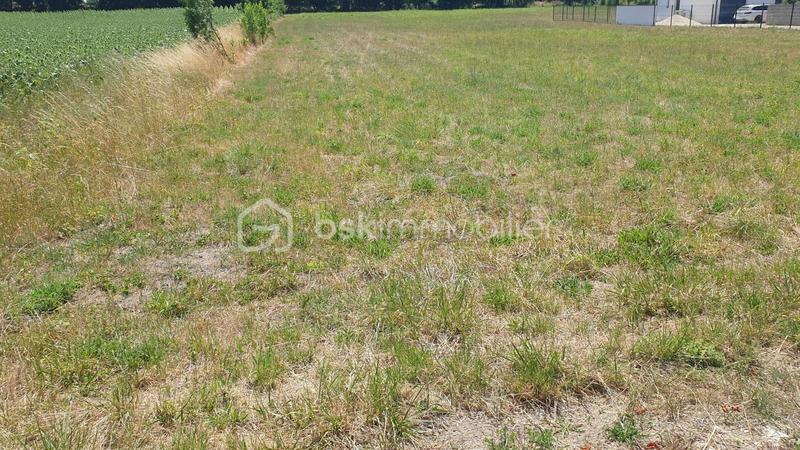 Terrain agricole - 5 685 m²