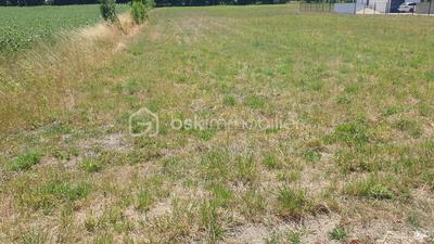 Terrain agricole - 5 685 m²