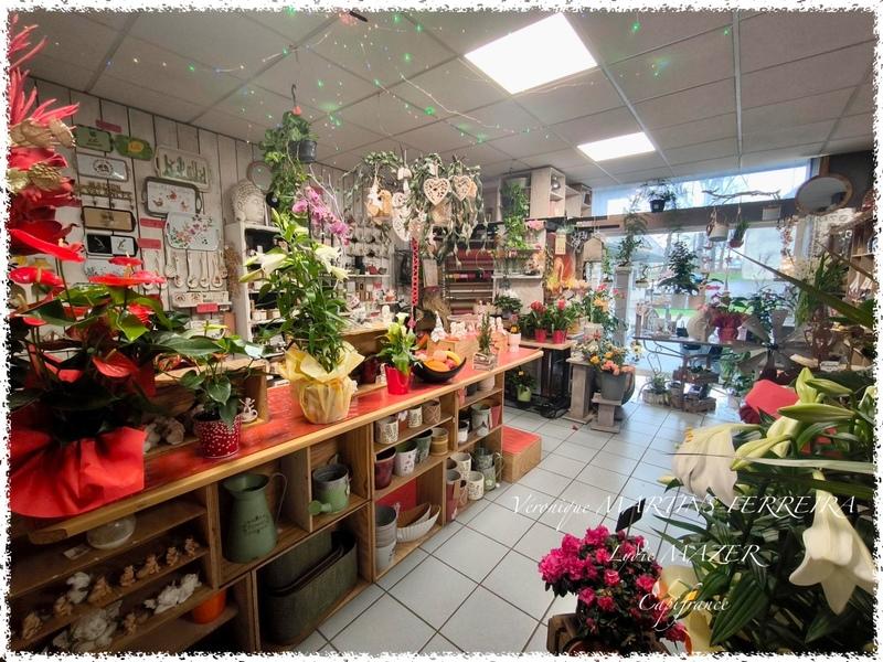 Fonds de commerce - Magasins - 159 m²