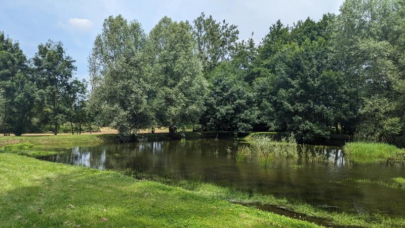 Maison - 183 m² - 6 pièces