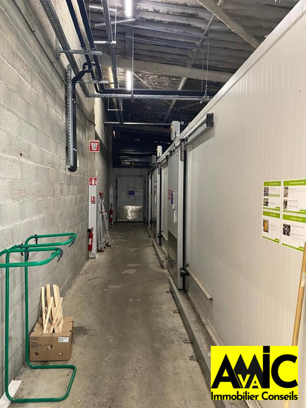 Local commercial - 1 226 m² - 5 pièces