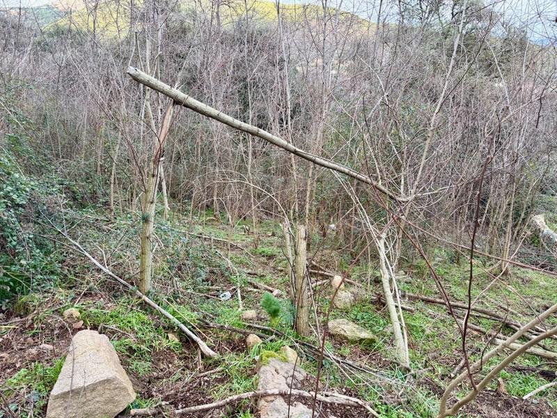 Terrain constructible - 1 500 m²