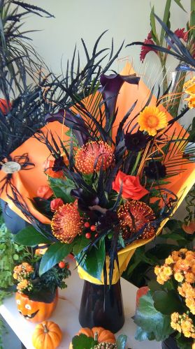 Jasmin fleurs et déco