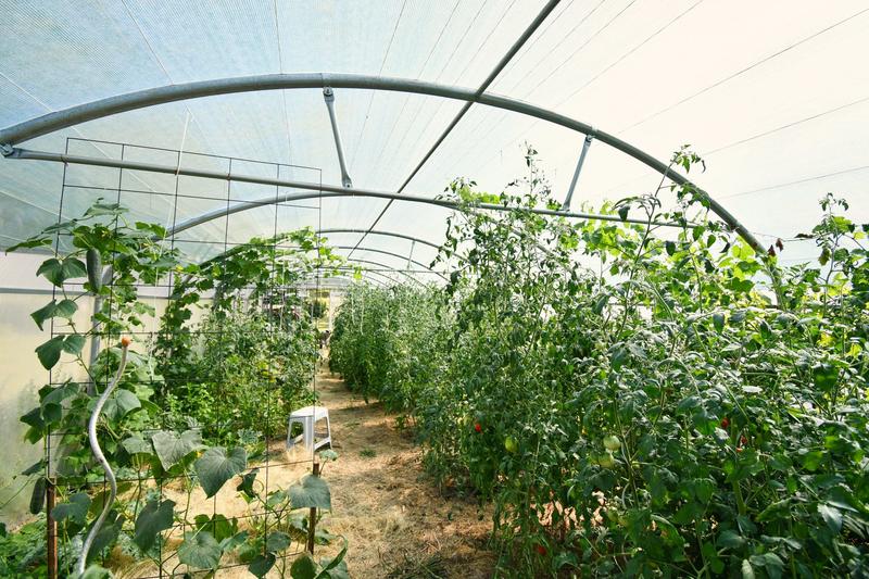 Maison ancienne - 350 m² - 10 pièces