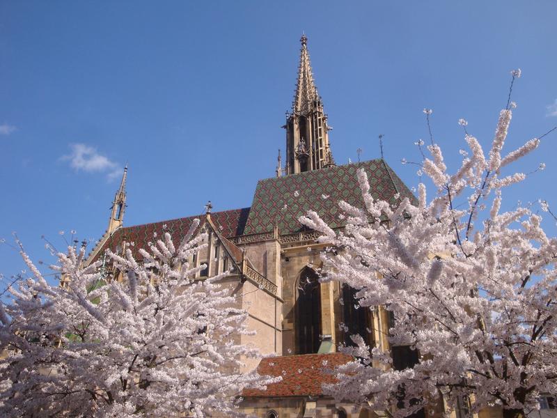 Balade ludique à Thann