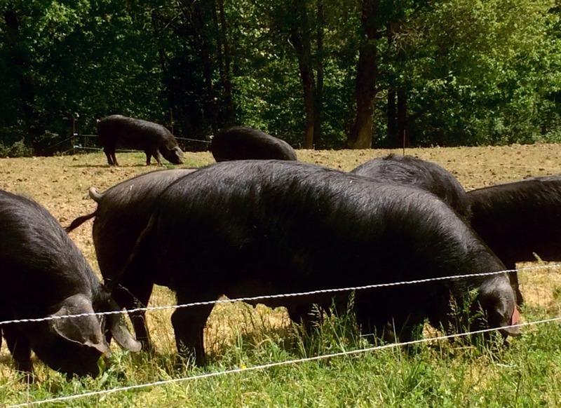 Propriété - 100 m² - 5 pièces