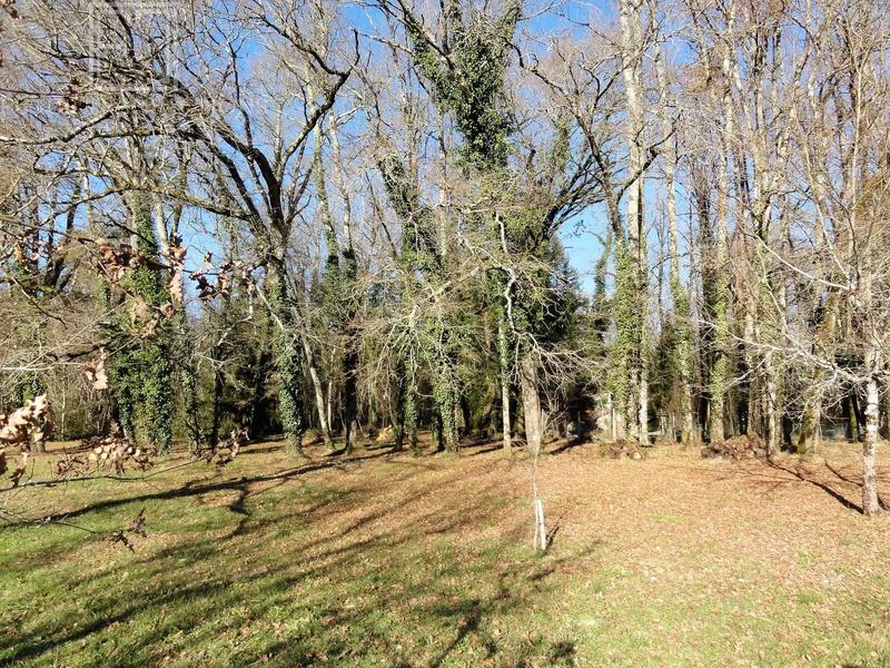 Maison - 233 m² - 12 pièces