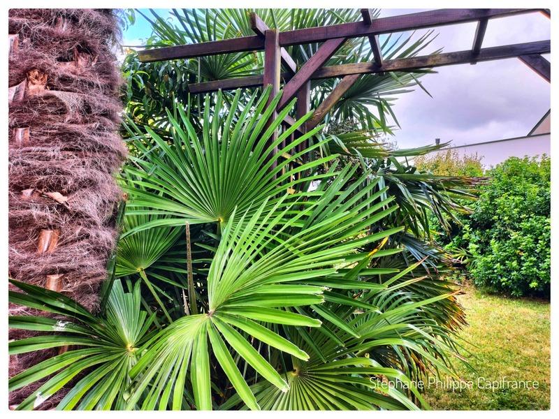 Maison - 148 m² - 6 pièces