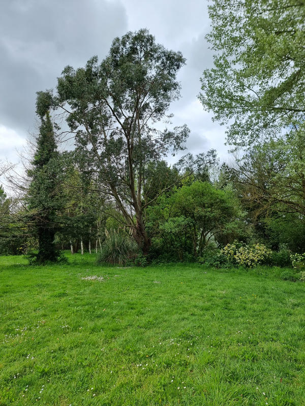 Maison - 197 m² - 7 pièces