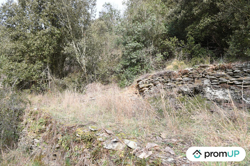 Terrain agricole - 2 780 m²