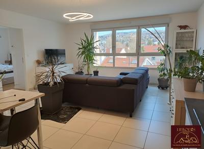 Appartement - 54 m² - 2 pièces