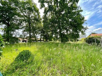 Terrain constructible - 1 119 m²