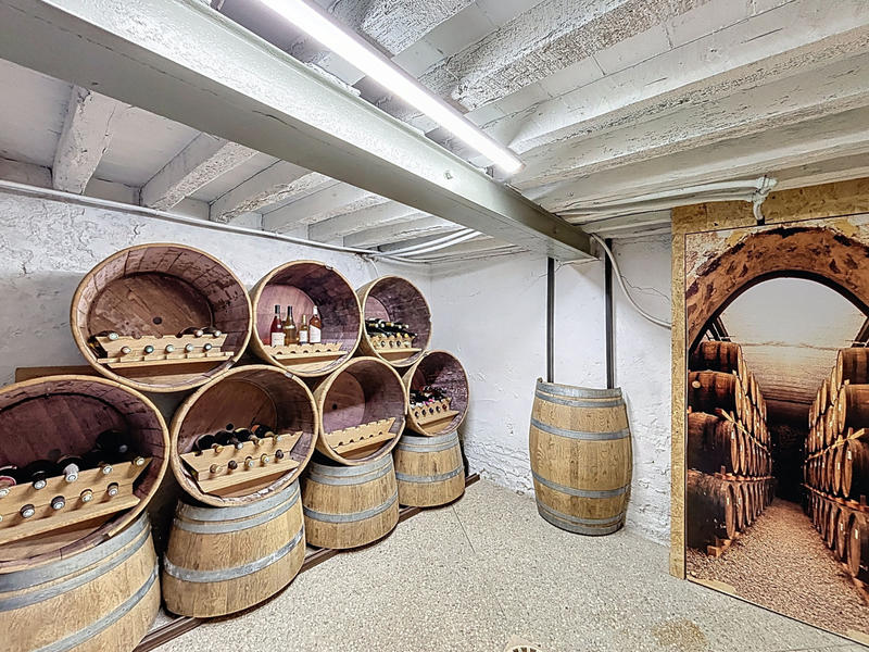 Maison - 240 m² - 8 pièces