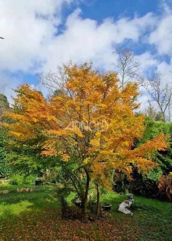 Maison - 113 m² - 8 pièces