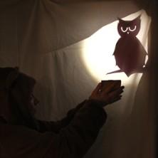 L'Ours et le Chat Sauvage - Théâtre du grand rond, Toulouse