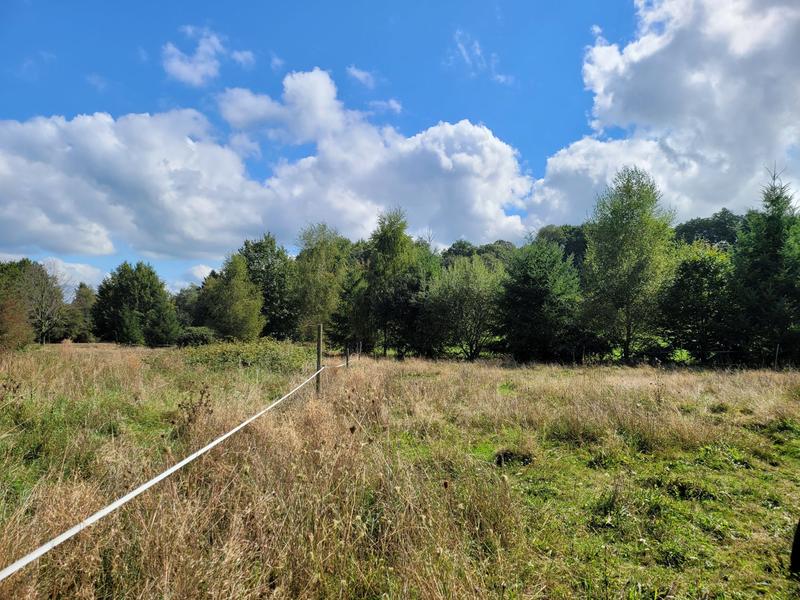 Maison - 113 m² - 5 pièces