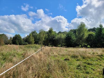 Maison - 113 m² - 5 pièces