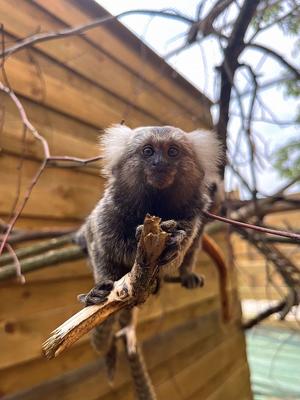 La Réserve Exotique