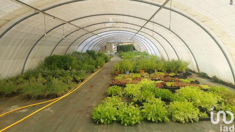 Local commercial - 5 500 m²