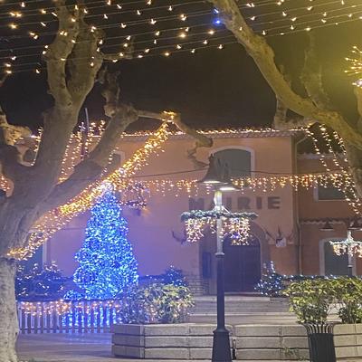 Fête des illuminations de Noël