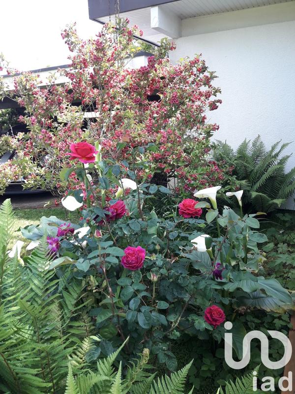 Maison - 252 m² - 8 pièces