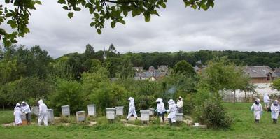 Mois du doc - projection du film &quot;demain l'abeille : la dette humaine&quot;