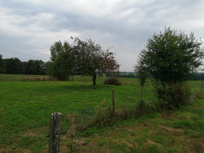 Ferme - 120 m² - 4 pièces