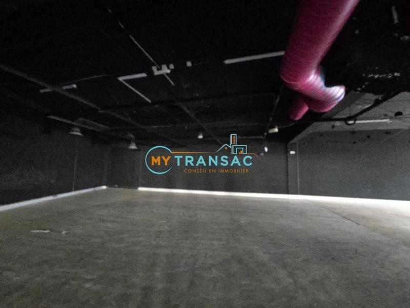 Local d'activités - 494 m²