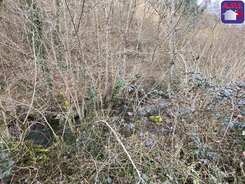 Grange - 66 m² - 2 pièces