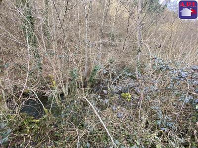 Grange - 66 m² - 2 pièces