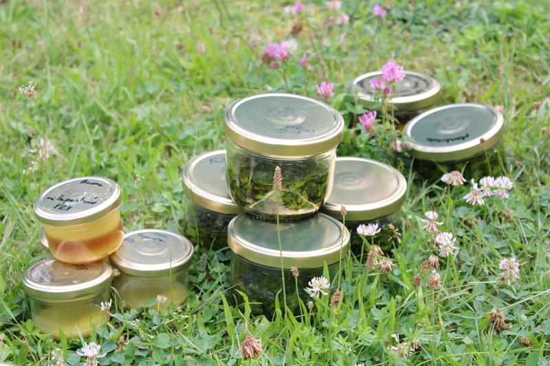 Atelier : Fabrication d'un baume végétal