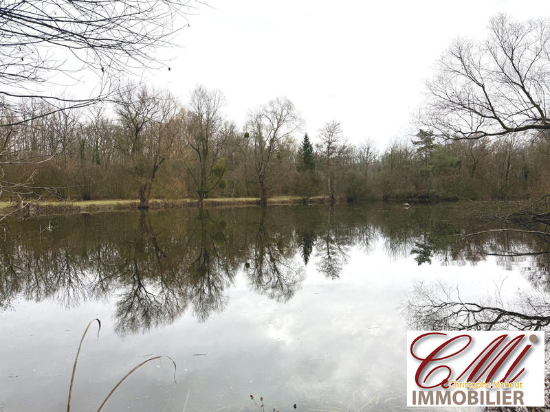 Terrain de loisirs - 11 820 m²