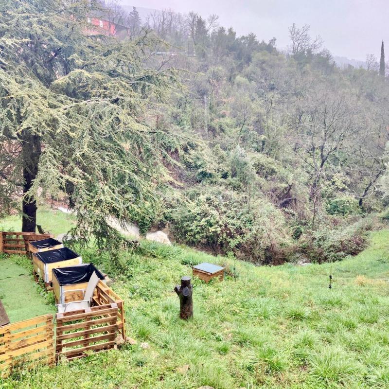 Appartement - 65 m² - 4 pièces