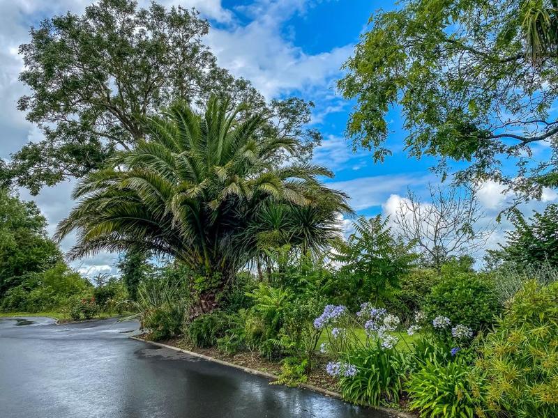 Appartement - 94 m² - 4 pièces