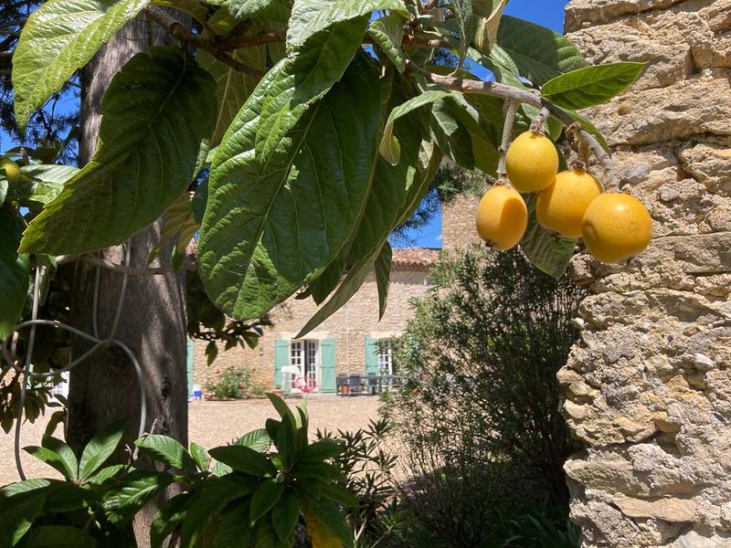 Mas - 896 m² - 25 pièces