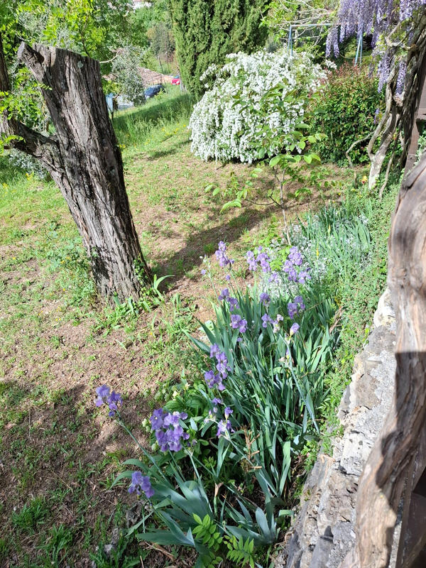 Maison - 43 m² - 3 pièces