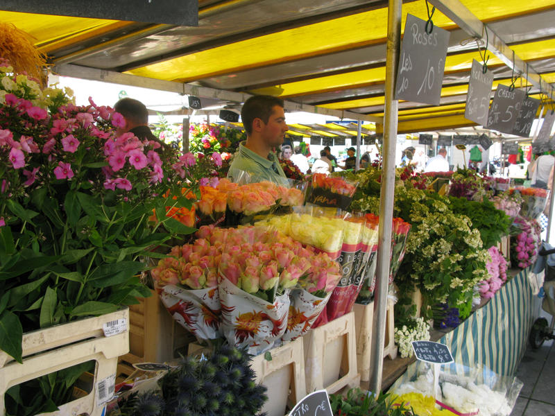 Appartement - 19 m² - 1 pièce