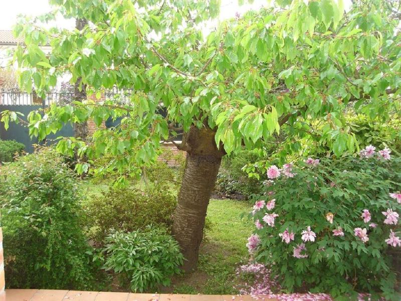 Maison traditionnelle - 140 m² - 5 pièces