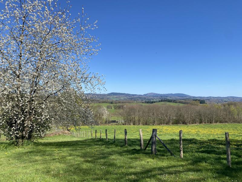 Maison ancienne - 205 m² - 8 pièces