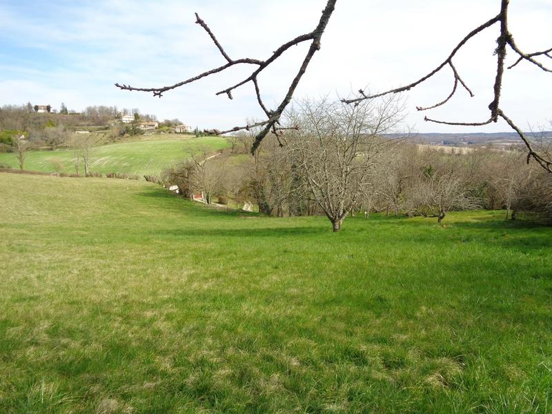 Terrain - 5 897 m²