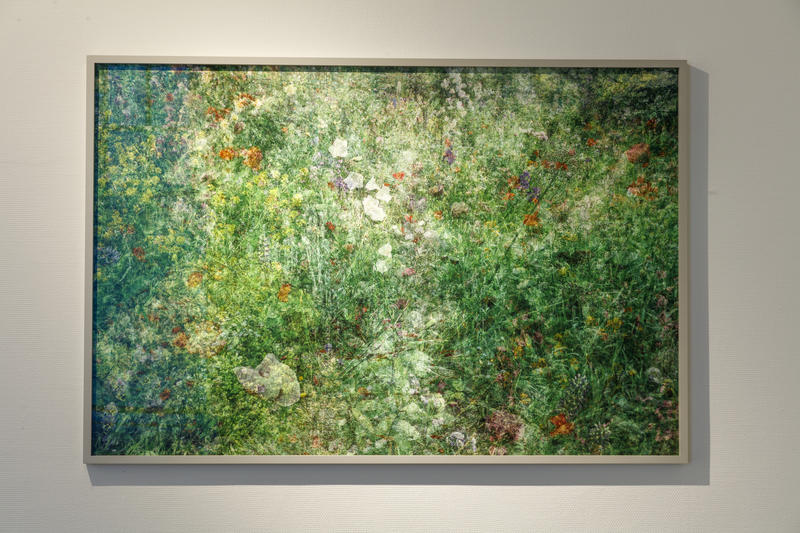 Exposition Chaumont-Photo-sur-Loire