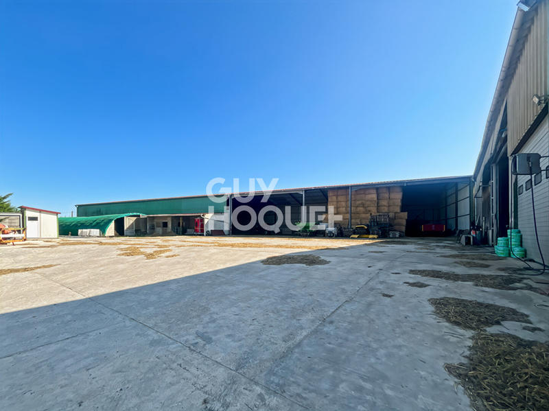 Entrepôt - 2 211 m² - 6 pièces
