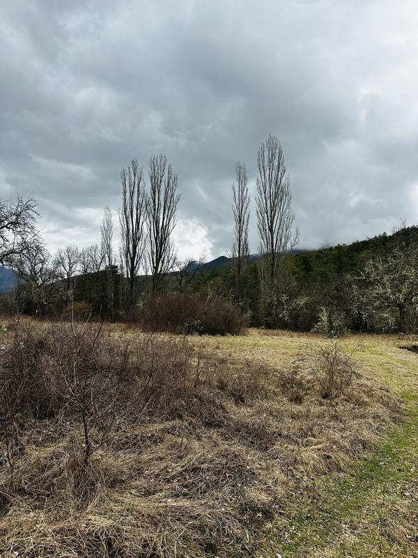 Maison ancienne - 70 m² - 3 pièces