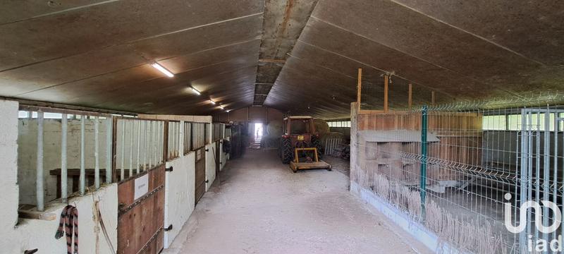 Maison - 130 m² - 4 pièces