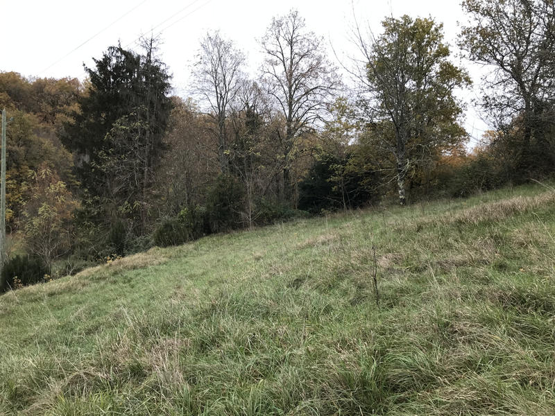 Maison de village - 125 m² - 5 pièces