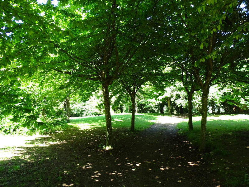 Manoir - 274 m² - 10 pièces