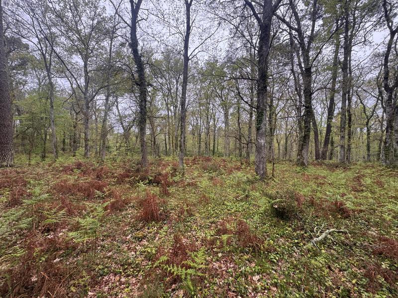 Terrain - 48 400 m²