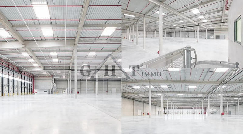 Entrepôt - 50 331 m²
