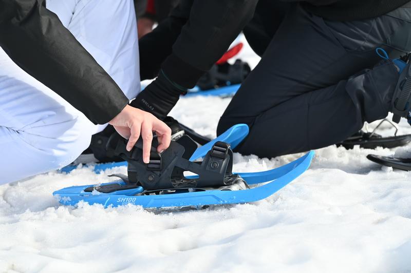 Balade accompagnée en raquettes en vallée d'Aspe